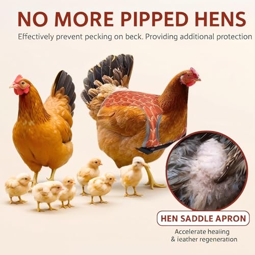 Chicken Saddles for Hens 1PC, Chicken Apron Back for Protection with Adjustable Strap, Waterproof, Easy to Wear - Orange Red