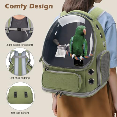 Bird Backpack Carrier Travel Cage with Perch, Tray and Breathable Clear Window, Bird Travel Cage for Cockatiel Caique Conure Quaker, for Vetting Camping Hiking (Green) - color: Green
