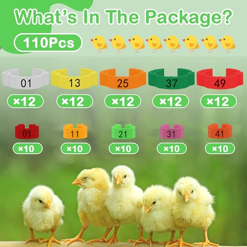 110 Pcs Chicken Leg Rings, Number Chicken Identification Hand Rings