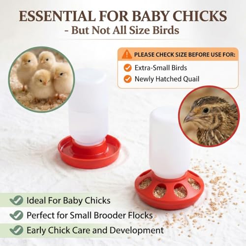 Chick Feeder and Waterer Set, Chicken Quail Feeder and Waterer Chicken Coop Accessories 8-Hole Compact Brooder Supplies for Chicks, Ducklings and Small Poultry