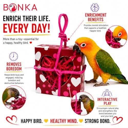 Bonka Bird Toys 2764 Valentine Heart Box Forager 8" x 5" Shreddable Paper and Rope Valentine Treat Toy for Small and Medium Birds Mental Enrichment and Cage Activity Conure Cockatiels and Similar