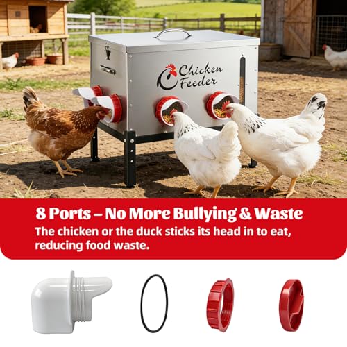80LB Metal Chicken Feeder, Rat Proof Automatic Chicken Feeder with Visible Window & 8 Ports, Galvanized No Waste Poultry Feeder for Chickens, Ducks, Geese - size: 80 LBS