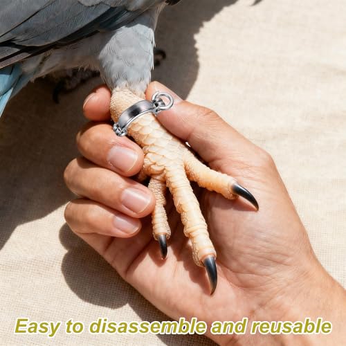 Bird Foot Rings, Parrot Metal Leg Ring Outdoor Fly Training Activity Opening Clip Accessories 7.5mm/0.3" ID, (Silver Tone, 10 Set), Intended for Small Medium Large Birds - size: 7.5mm/0.3" ID