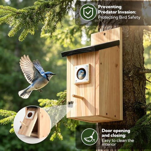 2 Pack Bird Houses for Outside - Cedar Bird House with Metal Predator Guard & Perch, Outdoor Bluebird Nesting Box for Wren Finch Swallow Chickadee, Weather Resistant (Silvery) - color: silvery