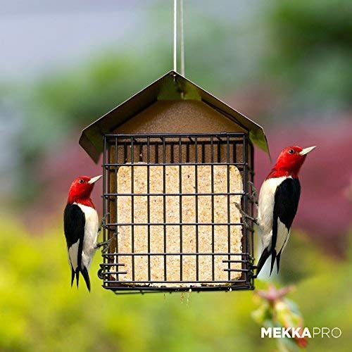 MEKKAPRO Suet Bird Feeder Metal Roof Cage Hanger Holds 2 Suet Cakes Outside | Woodpecker Feeder Offering Two Suet Bird Feeder Capacity; A Hanging Wild Bird Feeder Basket Built For Outside Use Year-round