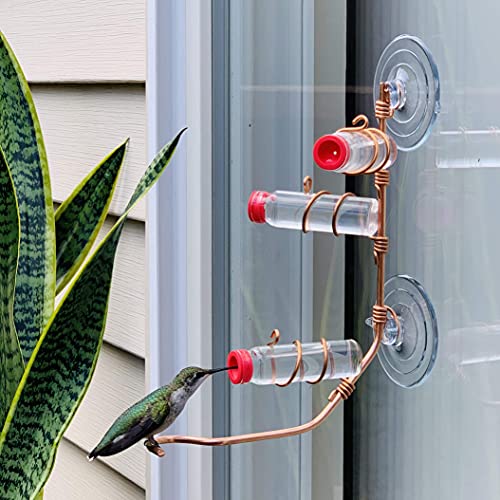 Window Hummingbird Feeder | Handcrafted Copper and Aluminum | Multiple Stations | Modern Hummingbird Feeder | Glass Bottles | Suction Cups (Copper, Three Station) - size: Three Station - Standard Perch