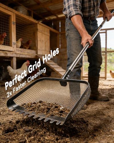 12" Chicken Poop Scooper, Stainless Steel Handle (36–62") | Light weight chicken coop scoop, Litter Scooper & Sand Sifting Shovel for chicken sand, Pet Waste Cleaning，Stables, Gardens