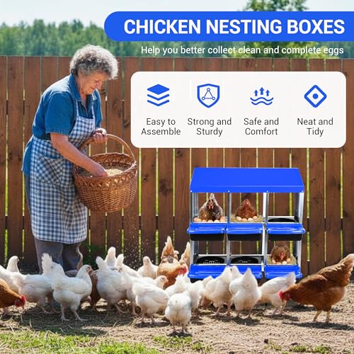 Chicken Nesting Box,Chicken Laying Boxes with 3 Compartment Metal Stainless Steel,Chickens Egg Laying Nest Boxes with Rollout Egg Collection,Chicken Brooder Box with Perch, Blue - color: Blue, size: 6 Holes