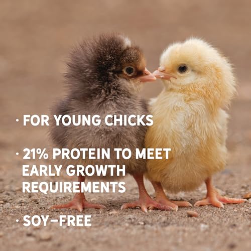 New Country Organics | Starter Feed for Baby Chicks | Soy-Free | 21% Protein | Certified Organic and Non-GMO | 10 Lbs - size: 10 Pound (Pack of 1)