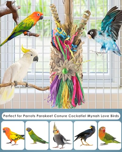 Bissap Bird Chew Toys, Parrot Foraging Shredder Natural Palm Frond Woven Bag Hanging Cage Toy with Chewing Treats for Conure Budgie Cockatiel Cockatoos and Similar Sized Pet Birds - style: Bag