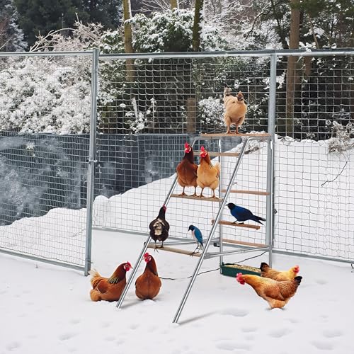 Chicken Coop Roosting Perch, Chicken Bars Roosting Ladder with Leg Bands for Perch, Backyard Poultry, Farm