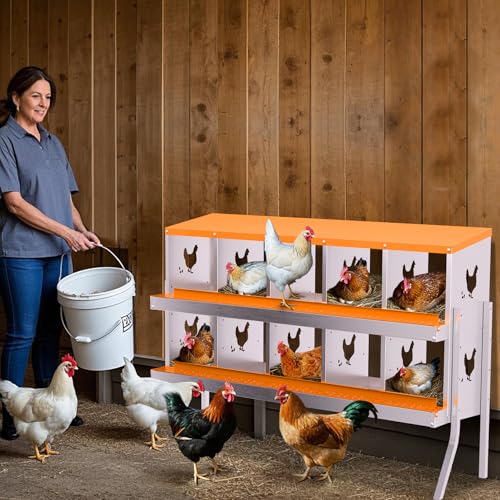 10 Compartment Galvanized Metal Chicken Nesting Box with Support Legs, Easy Install & Clean Roll Out Egg Laying Boxes for Backyard Chicken Coop, Anti-Rust Egg Protection Nest,Orange - color: Orange, size: 10 holes with legs