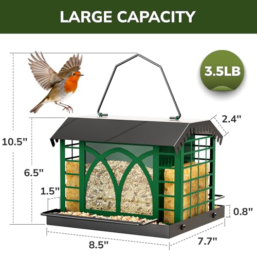 Bird Feeders for Outdoors Hanging, Metal Bird Feeder with Double Suet Cage Weatherproof Metal Roof, 3.5Lbs Large Capacity Great for Attracting Finch Cardinal Chickadee Wild Birds, Branch Green - color: Branch Green