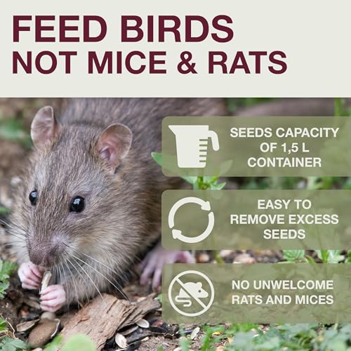 SWISSINNO Bird Feeders - No Mess Fat Ball/Suet Feeder for Outdoors Hanging - Smart Birds Lucerne Spill Proof Wild Cardinal Bird Feeder with Integrated Seed Catcher Tray - Light Grey - color: Light grey, style: Lucerne