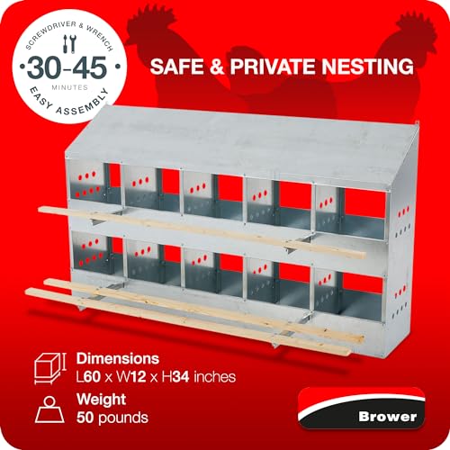 Brower 2-Tier 10-Hole Galvanized Steel Chicken Nesting Box, 50 to 60 Hen Capacity – Outdoor Poultry Laying Station with Hinged Folding Perches, Ventilated Design & Slanted Roof – Made in the USA | Outdoor Poultry Laying Station with Hinged Folding Perches
