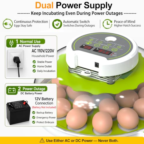 18/60 Egg Incubator with Humidity Display, Incubators for Hatching Eggs, Egg Candler, Automatic Egg Turner, Poultry Egg Incubator for Hatching Chicken Duck Goose Bird Quails- Green 2 Egg Trays - color: Green
