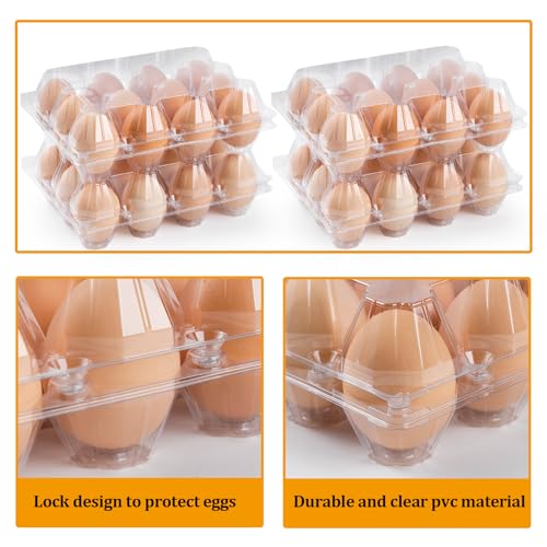 120 Pack Plastic Egg Cartons Cheap Bulk 12 Count, Clear Egg Trays 3x4 Grids | Bulk Egg Carton Fits Small to M Chicken Eggs, Reusable Egg Holder/Container for Family, Chicken Farm and Markets - size: 120P3×4