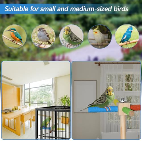 Double Layer Bird Play Gym with 360° Rotating Perch & Exercise Wheel - Interactive Training Stand for Small & Medium Parrots, Parakeets, Cockatiels, Lovebirds