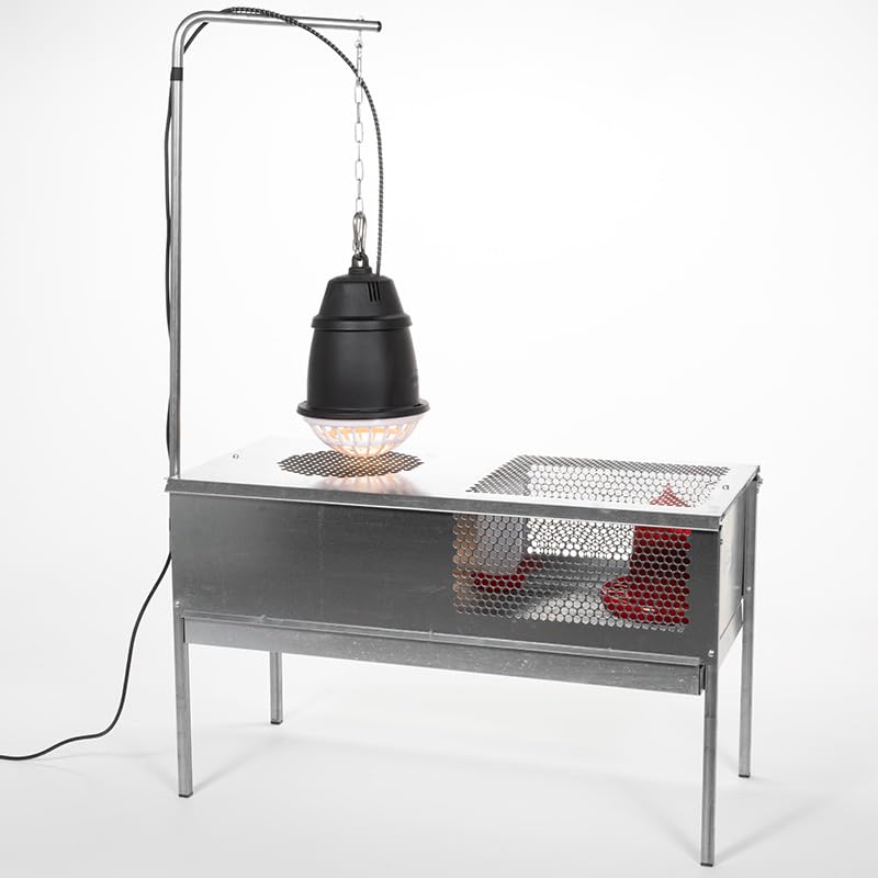 Premier 1 QuikClean Chick Brooder – Hinged Lid & Removable Collection Tray | Hinged lid, removable collection tray. Slotted wire floor. Broods chicks up to 5–6 weeks. Add-your-own heat source.