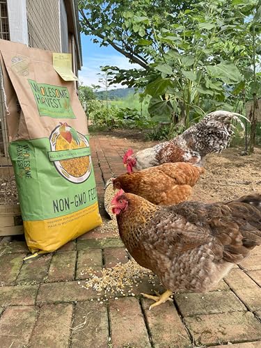 Corn & Soy-Free Chick Starter Feed - All Grain & Non-GMO Chick Food Starter with Omega 3 - Chicken Feed for Growing Healthy Chicks with High-Protein 22% and Probiotics - 10 Lb - size: 10 Pound (Pack of 1)