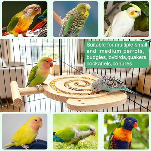Hypeety Bird Foraging Toys with Perch Enrichment Puzzle Feeder Kit for Cage | Promotes foraging and chewing, kiln-dried wood slow feeder, no mess, fits most cages, for budgies cockatiels lovebirds conure