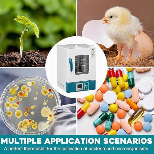 20L Digital Lab Incubator, Constant Temperature Cabinet Incubator RT-65℃, PID Control, Incubators for Hatching Eggs, Reptile Incubator, Bacterial Culture, Medical Science Incubadora | PID Control, For Hatching Eggs, Reptile Incubator, Bacterial Culture, M