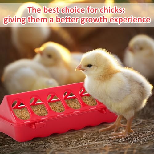 Honeydak 14 Pcs Chick Starter Kit Baby Chick Feeder and Waterer Set – Flip Top Poultry Feeder, 1l Water Dispensers, Perches, Gloves & Metal Feed Shovel for Ducklings, Quails Farming Supplies
