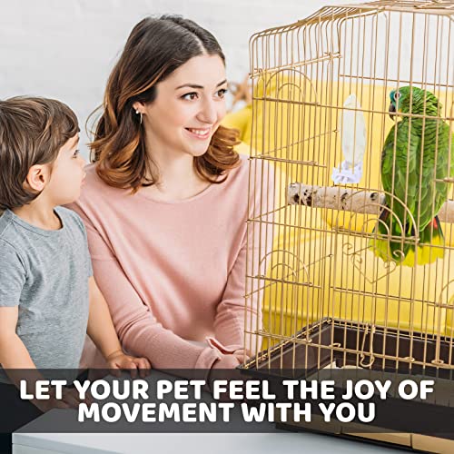 40 Pcs Cuddle Bone Cuttlefish Bone 3.0" to 3.5" Cuttlebone for Birds with 1 Parakeet Cuttlebone Holder Bird Cage Food Clip, Parakeet Toys Chew Toy for Birds Parrots Cockatiels Budgie Snails Reptiles