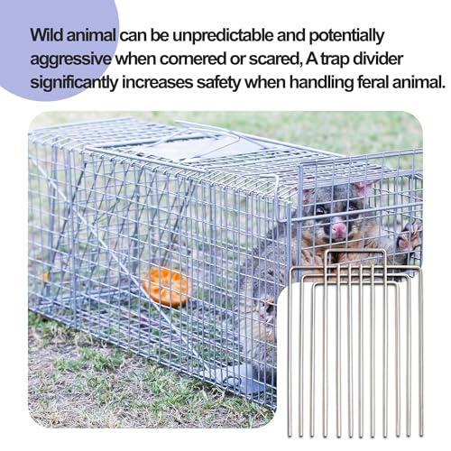 Trap Cage Divider Stainless Steel Divider for 10" and 12" Wide