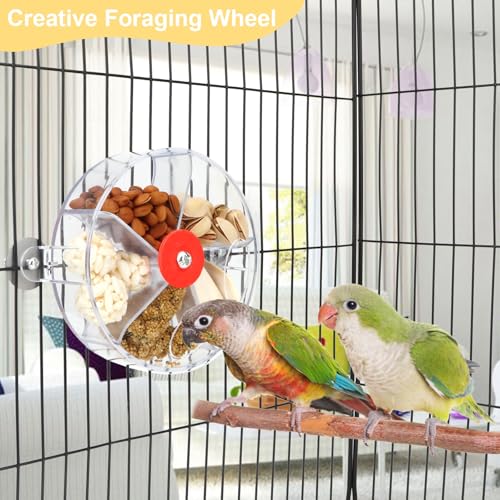 Bird Creative Foraging System Wheel Seed Food Ball Rotate Training Toy for Small and Medium Parrots Parakeet Cockatiel Conure (Clear) - color: Clear