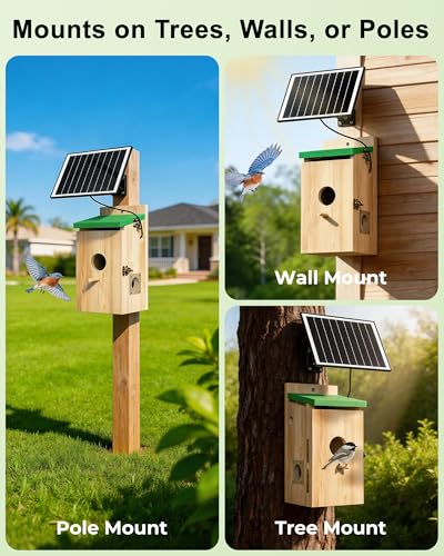 Bird House with Camera,Solar Smart Birdhouse with Camera Inside | Motion Detect & Night Vision,App Control,Wi-Fi Bird Watching for Backyard Nesting,Bird House for Outside with Camera,Green - color: Light Green