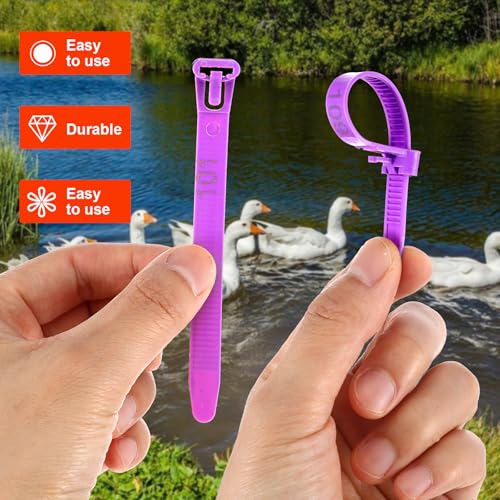 120Pcs Leg Bands for Chickens, Numbered Chicken Leg Bands 1-120 | 6colors(20 Each),Numbered 1-120.Pp Plastic,Self-Locking,Fluorescent.For Poultry Tracking,Chickens