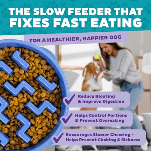 Outward Hound Fun Feeder Slo Bowl – 2‑Cup Capacity, Slow Feeding, Small to Medium Dogs & Cats, Non-Slip, Blue, Notch Pattern, Medium (Pack of 12) - color: Blue, size: Medium (Pack of 12)
