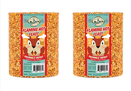 Mr. Bird Flaming Hot Feast Spicy Bird Seed Cylinder, 2-Pack, 4 lbs 3 oz | Premium Blend of Mealworms, Peanuts & Hot Pepper | Squirrel Repellent | Handcrafted in Texas - size: 4.19 Pound (Pack of 2)