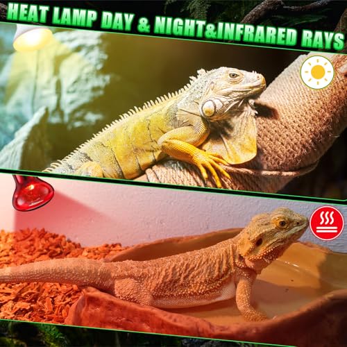 10 Pcs 75w Reptile Heat Lamp Bulb Day and Night Basking Spot Bulb Set UVA Daylight Bulb Amphibian Night Red Infrared Heating Lamp for Turtle Bearded Dragon Lizard Leopard Gecko