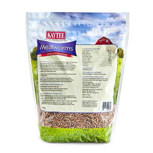 Kaytee Wild Bird Food Mealworms For Bluebirds, Wrens, Robins, Chickadees, Woodpeckers, Cardinals & Chickens, 2 Pound - size: 2 Pound (Pack of 1)