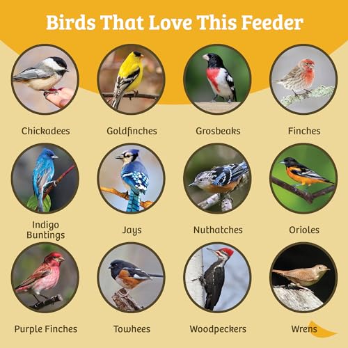 Birds Choice Pileated Suet Feeder with Tail Prop, Holds 2 Suet Cakes | Hanging Suet Bird Feeder for Woodpeckers, Jays, Nuthatches | Sturdy for Garden & Backyard | Taupe & Green, 8" L x 3" W x 22.5" H | Hanging Feeder for Woodpeckers, Jays and Nuthatches,