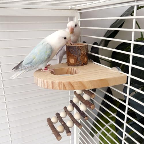 Climbing Toys for Hamster and Small Parrot, Natural Apple Wood Playing Toys | Cage Accessories for Guinea Pig, Gerbils, Chinchillas, Rats, Parakeets, Conures, Syrian, Bird, Mice