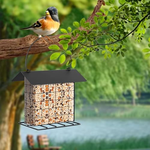 Suet Ball Bird Feeder Outdoor Hanging Metal Wire Wild Bird Feeder Fat Ball Food Feeder with Metal Roof and Platform Outside Cake Suet Feeder Rainproof (Black) - color: Black