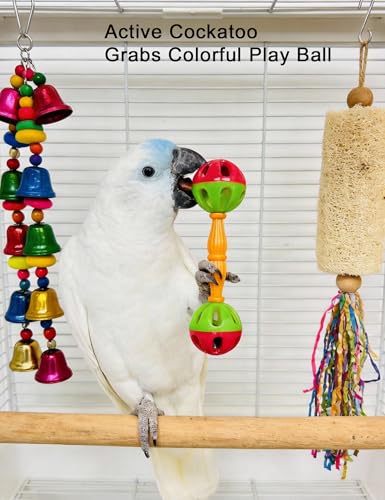 12-Pack Bird Bell Ball Chew Toys, Non-Toxic PP, Cage Enrichment | Relieve Boredom and Stress Behaviors Like Feather Plucking