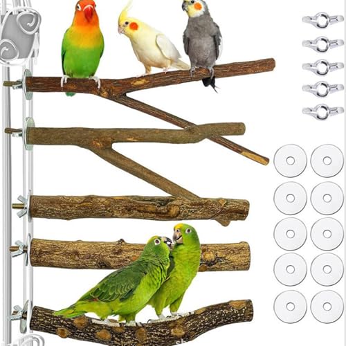 Natural Wood Bird Perch Set, 5 Branch Perches with Mounting Hardware, Parrot Cage Accessories for Claw and Beak Care (Natural, Medium)