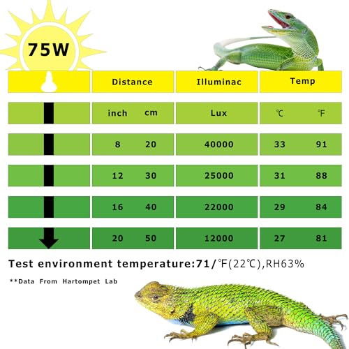 75W Daylight Reptile Heat Lamp Bulb, UVA Basking Spot Light | Provides Bright Natural Daylight, Supports Thermoregulation & Daily Activity for Reptiles, Amphibians & Terrarium Habitats - color: Basking Spot Lamp, size: 75W Upgraded - 3.1"