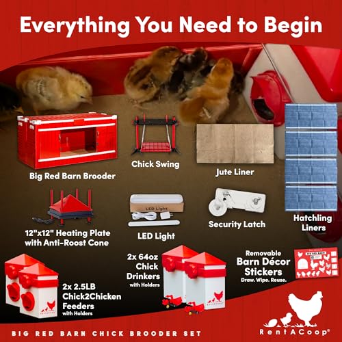 RentACoop Big Red Barn Chick Brooder Set with Heating Plate