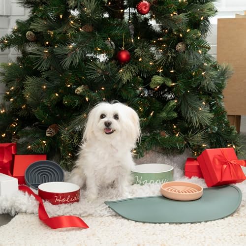 Waterproof Silicone Dog Food Mat – Large Size Non-Slip Pet Bowl Mat, Raised Edge Design, Easy-to-Clean Pet Food Placemat for Dog & Cat Bowls, 28" Across x 14" Deep - Spruce - color: Spruce, size: Large