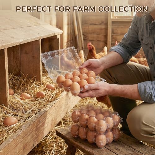 HAKSEN 60 PCS 12 Count Plastic Egg Cartons with Date Labels, Clear | Reusable Egg Containers Holds for Fresh, Medium Eggs Storage, Suitable for Farms, Family, Markets Display