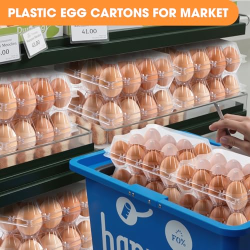 100 Pack Egg Cartons Cheap Bulk,Plastic Egg Carton 2x6 Grids | 12 Count Clear Egg Cartons, Reusable Egg Holder Egg Trays for Family, Chicken Farm, Markets Display - Medium Egg Container - size: 2X6-100PCS