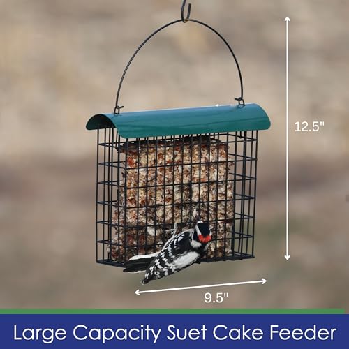 Large Suet Feeder - Metal Woodpecker Suet Cage w/Roof | Holds 1 Large Seed Cake. Metal Roof Keeps Suet Dry. Multiple Clinger Birds Feed at Once - Woodpeckers, Finches, Chickadees.