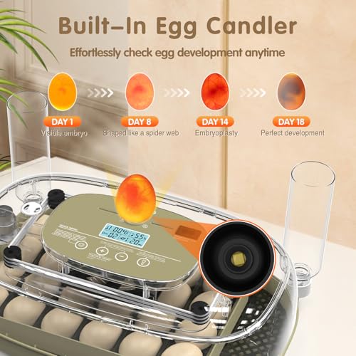 Incubators for Hatching Eggs Egg Incubator Chicken 360° Egg Candler Viewing for Chicken, Ducks, Goose, Pigeon, Quail 24 Eggs