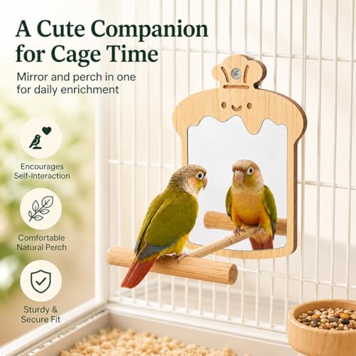 Bird Mirror with Perch, Wooden Bird Cage Mirror Toy, Natural Pine Parrot Perch Accessory for Conures, Budgies, Parakeets, Cockatiels, Lovebirds and Small to Medium Birds