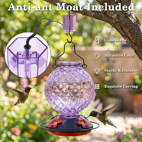 25 OZ Glass Hummingbird Feeder for Outdoors, Leak Proof Hummingbird Feeder with Ant Moat, 4 Bee Resistant Feeding Ports, Easy Clean Wide Mouth Design, Hanging Nectar Feeder, Purple - color: Purple - 25oz